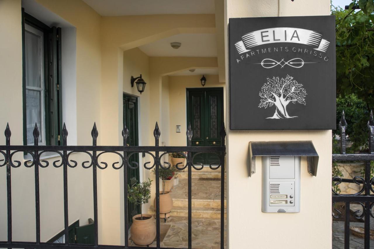 Elia Apartments Chrisso Delfi Eksteriør bilde